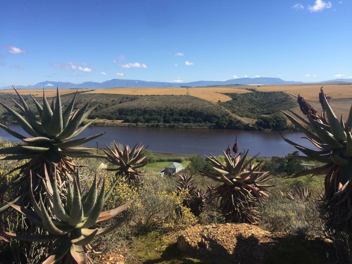 Tides River Lodge Malgas Eksteriør bilde